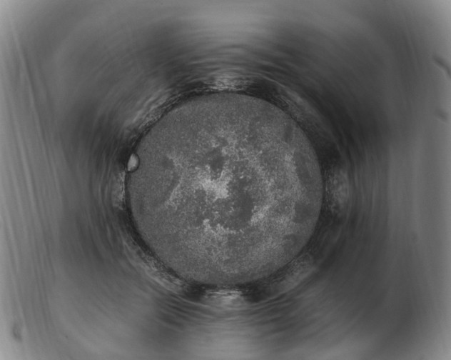 X0000103430554200809191703
