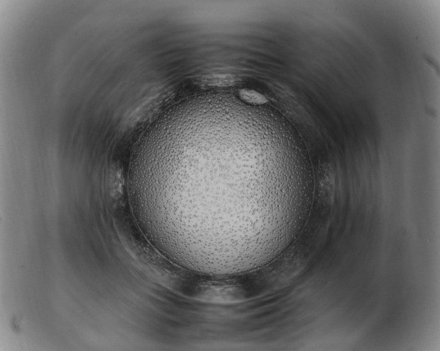 X0000103430555200809191703