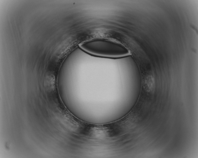 X0000103430556200809191703