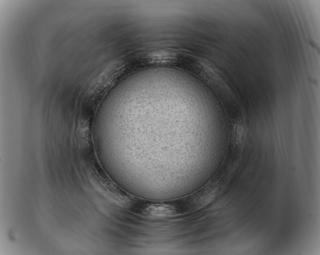 X0000103430557200809191703