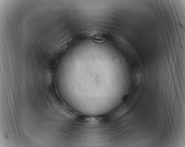 X0000103430558200809191703