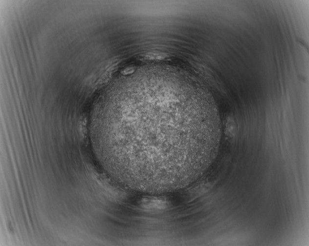 X0000103430559200809191703