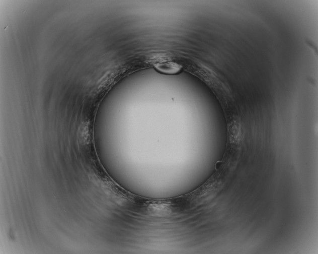X0000103430560200809191703