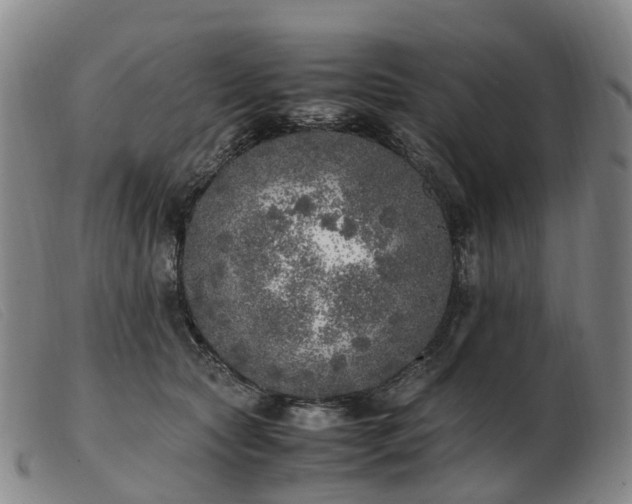 X0000103430561200809191703