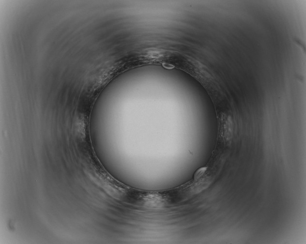 X0000103430562200809191703