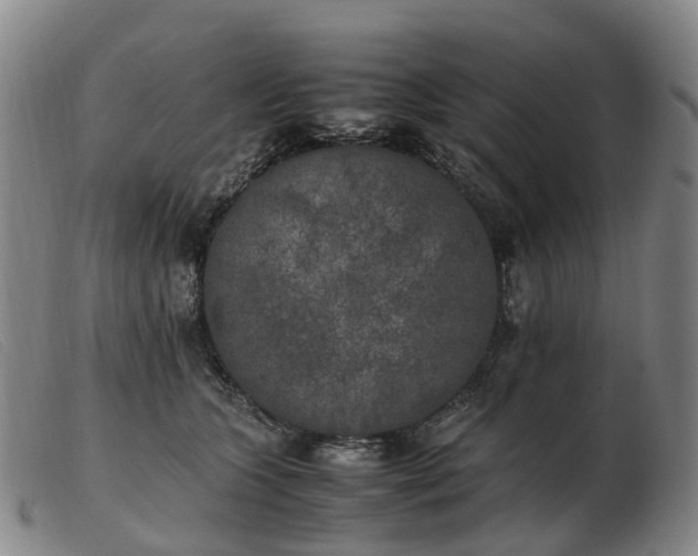 X0000103430563200809191703