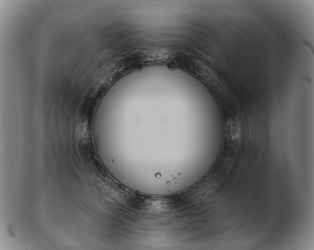 X0000103430564200809191703