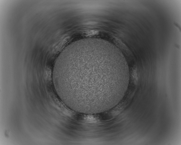 X0000103430565200809191703