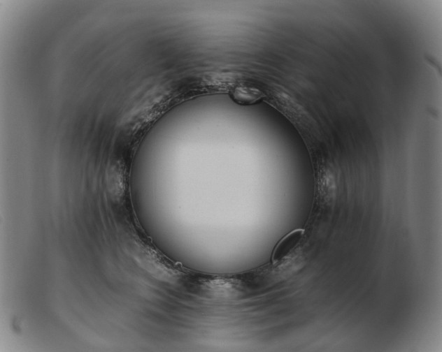 X0000103430566200809191703