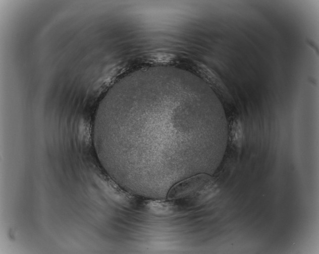X0000103430568200809191703