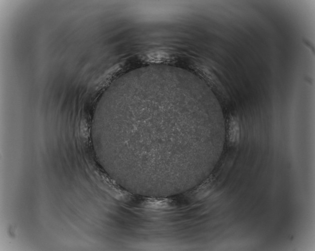 X0000103430569200809191704
