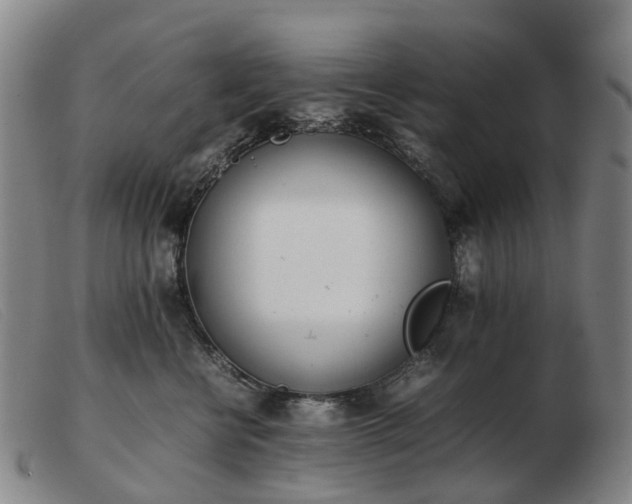 X0000103430570200809191704