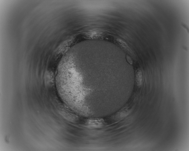X0000103430571200809191704