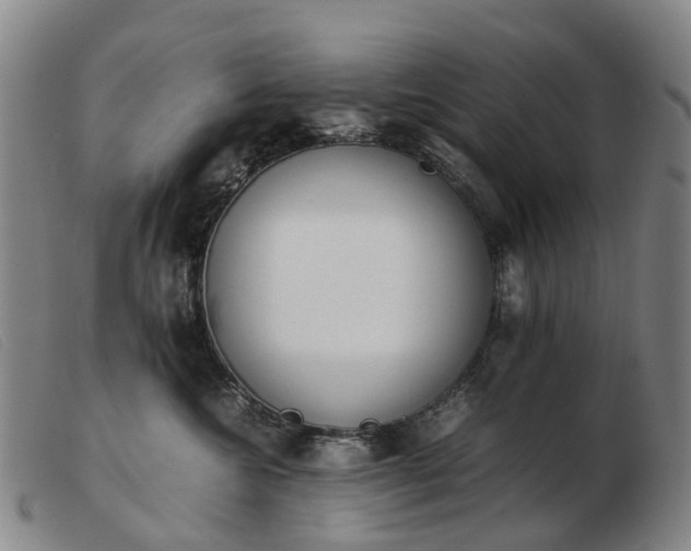 X0000103430572200809191704