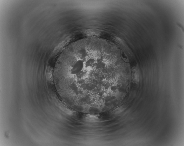 X0000103430573200809191704