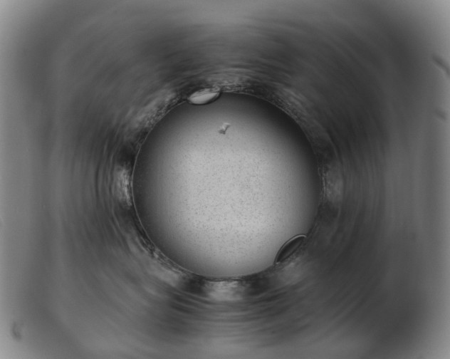 X0000103430575200809191704