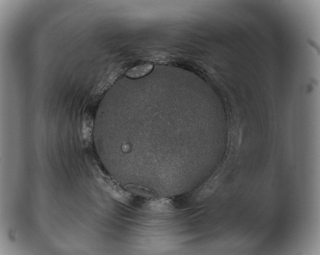 X0000103430576200809191704