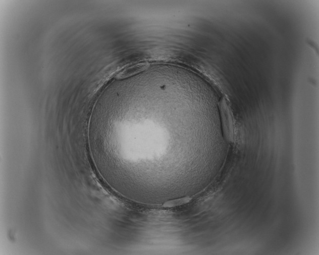 X0000103430577200809191703