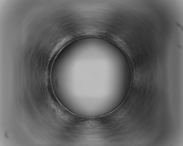 X0000103430578200809191703