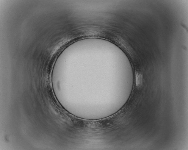 X0000103430579200809191703