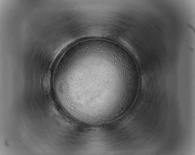 X0000103430580200809191703