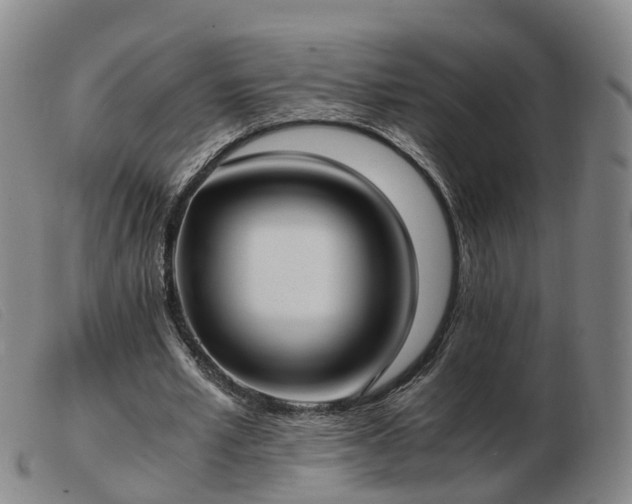 X0000103430581200809191703