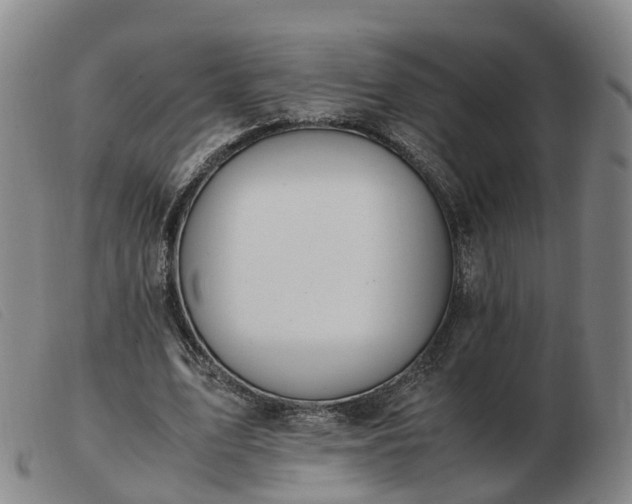 X0000103430583200809191703