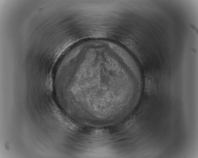 X0000103430584200809191703