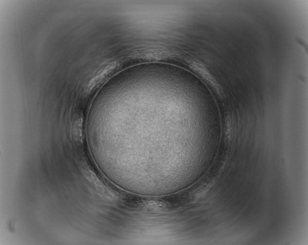 X0000103430585200809191703