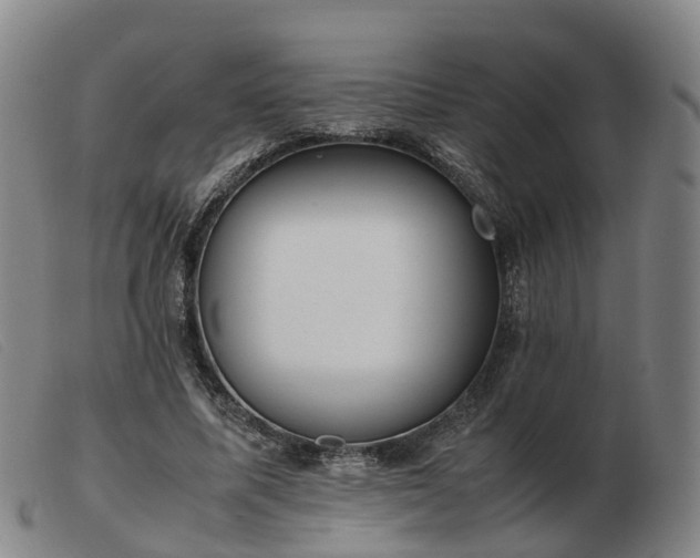 X0000103430587200809191703