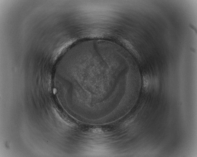 X0000103430588200809191703