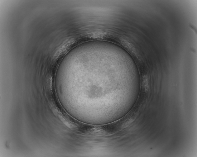 X0000103430589200809191703