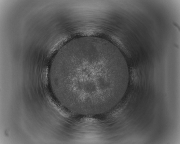 X0000103430590200809191703