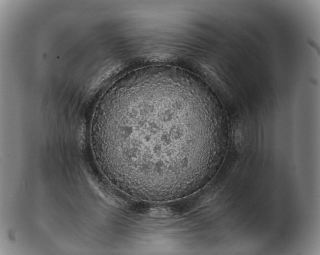 X0000103430591200809191703