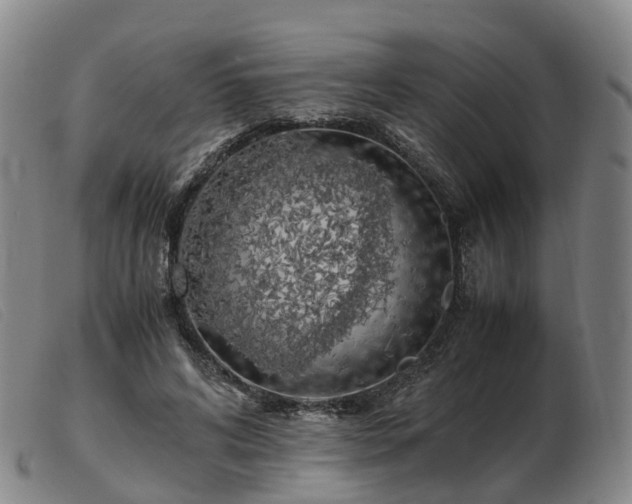 X0000103430592200809191703