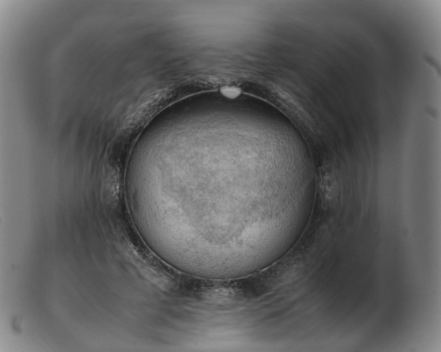 X0000103430593200809191703