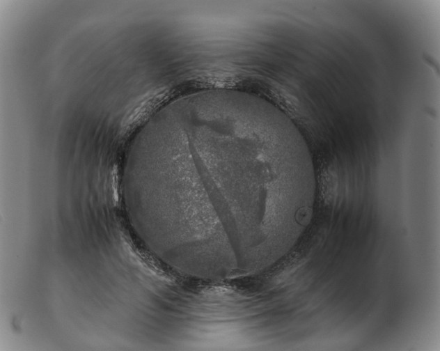 X0000103430594200809191703