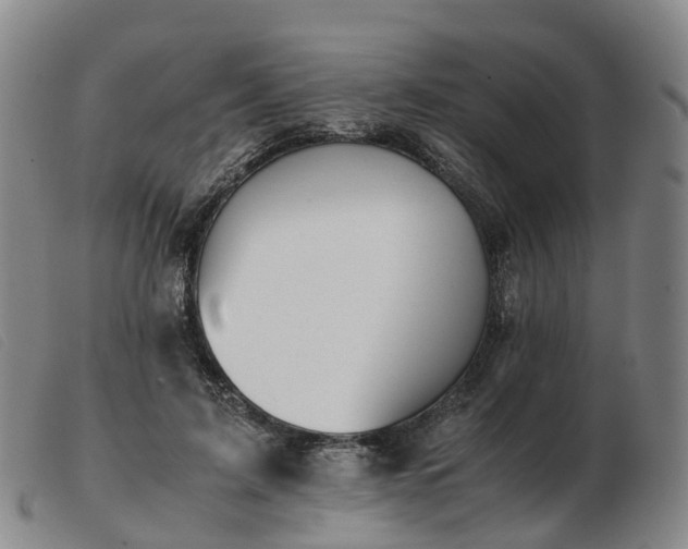 X0000103430595200809191703