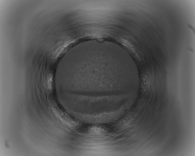 X0000103430596200809191703