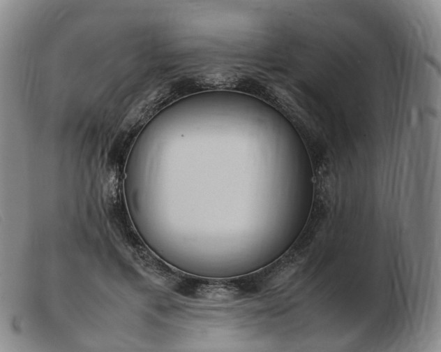 X0000103430597200809191703