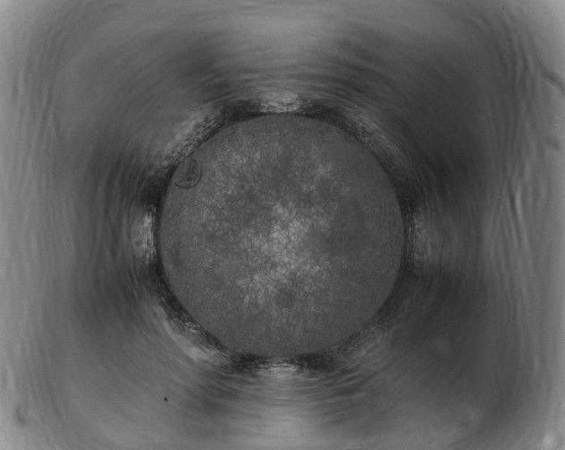 X0000103430598200809191703