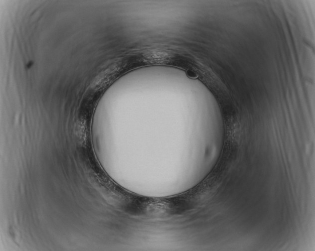 X0000103430599200809191703