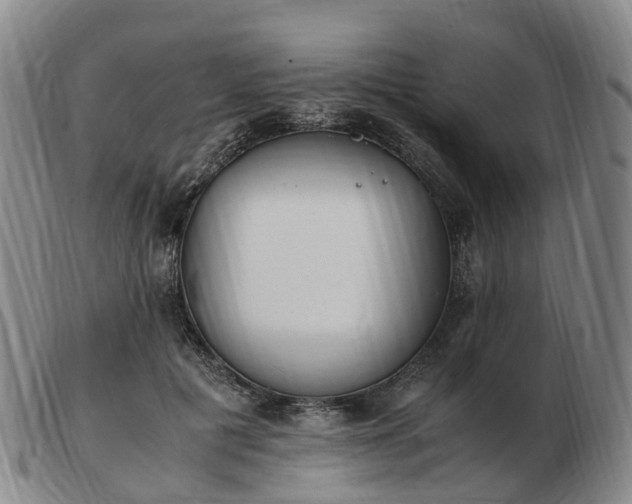 X0000103430601200809191703