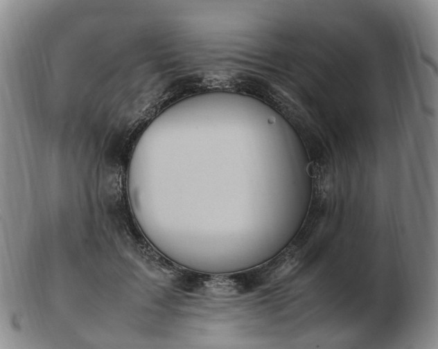X0000103430603200809191703