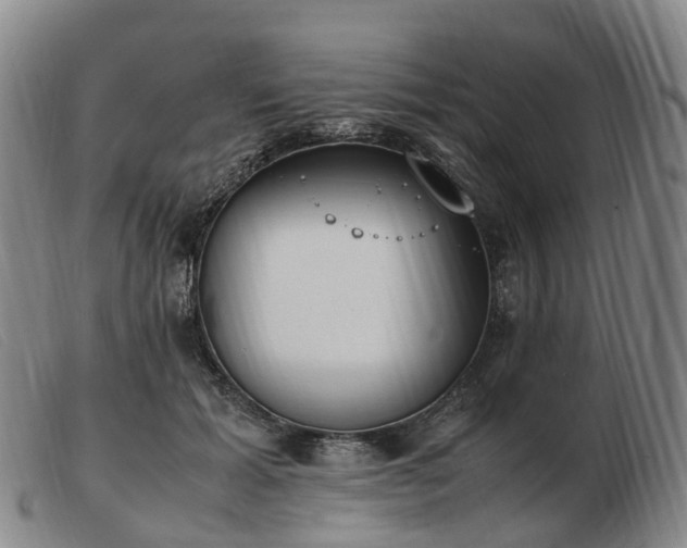 X0000103430605200809191703