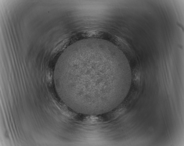 X0000103430607200809191702