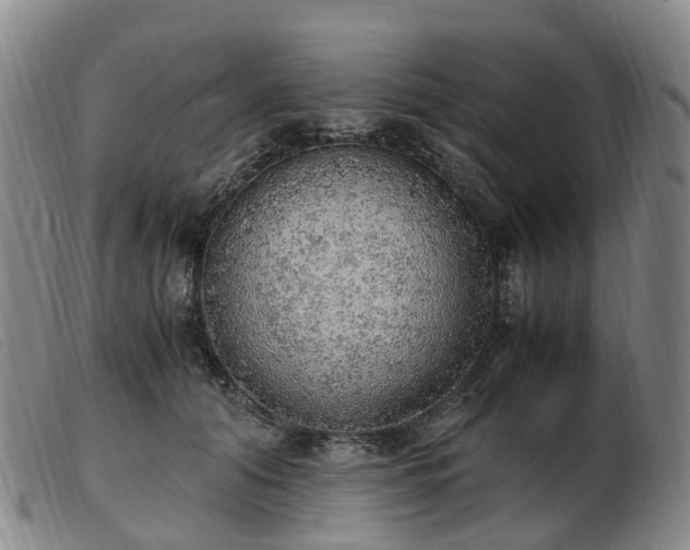 X0000103430608200809191702