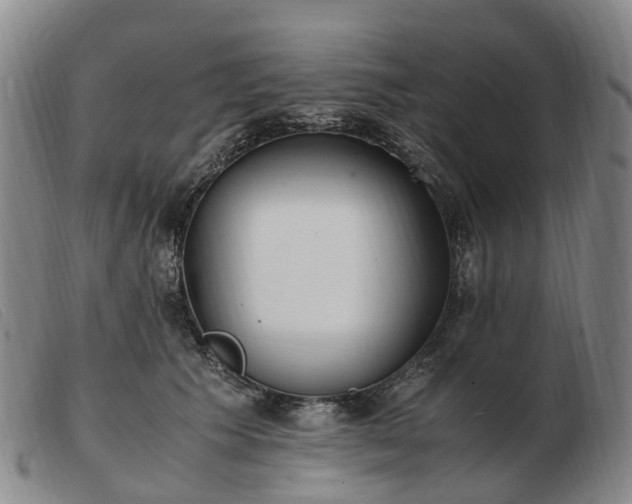 X0000103430609200809191702