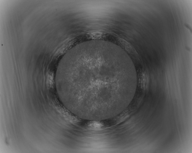 X0000103430610200809191702