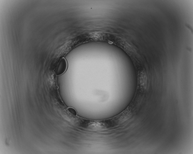 X0000103430611200809191702
